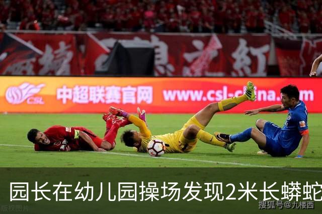 园长在幼儿园操场发现2米长蟒蛇,警察赶到后却听到其腹腔传来哭声