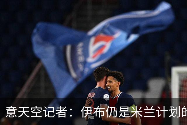 意天空记者：伊布仍是米兰计划的一部分